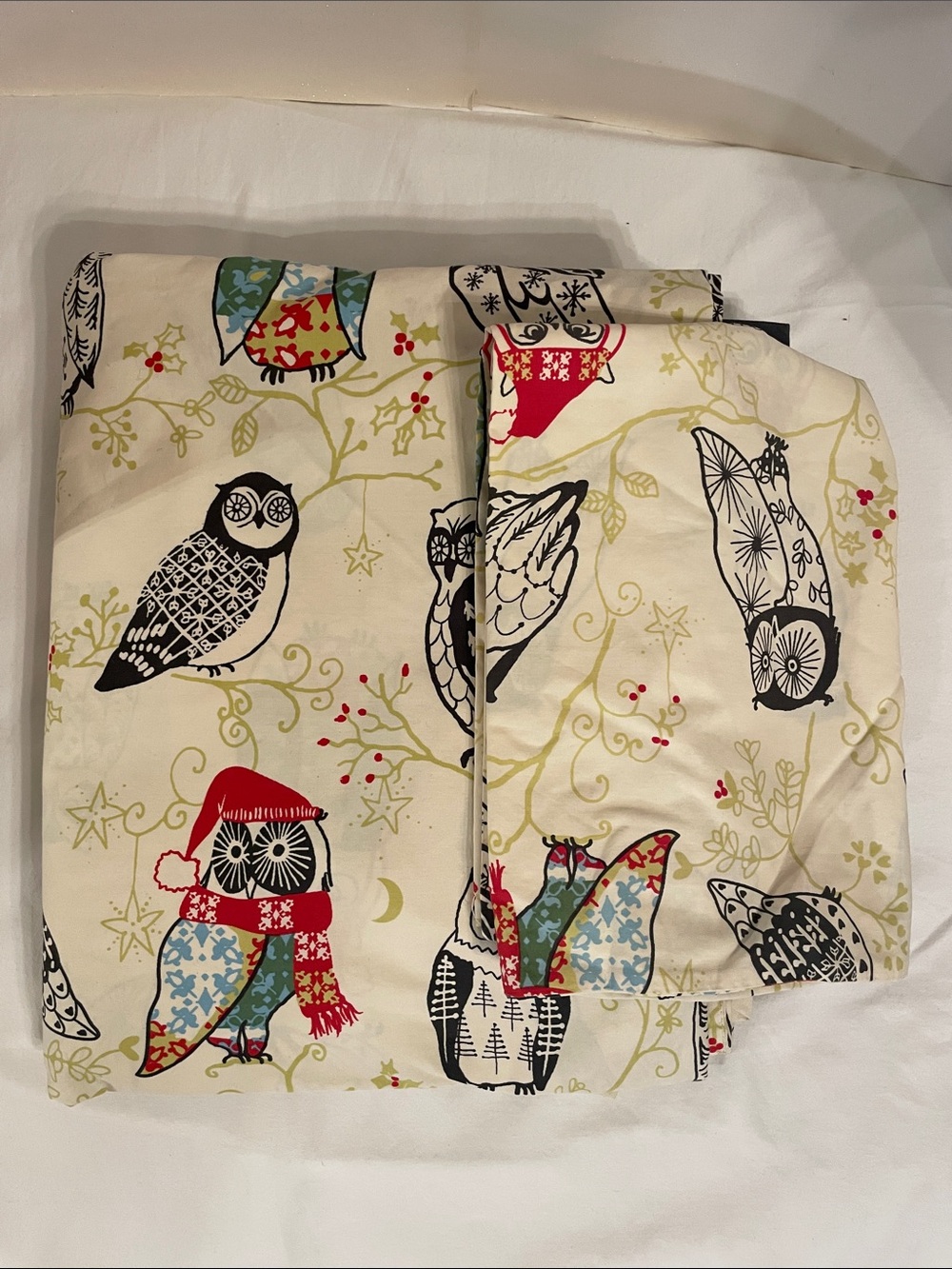 Vintage Garnet Hill: Night Owl Sateen queen flat sheet & pillowcase.